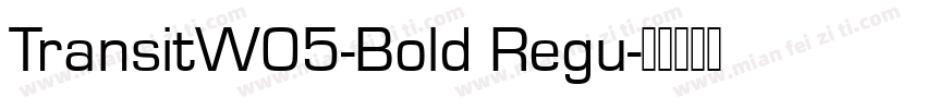 TransitW05-Bold Regu字体转换